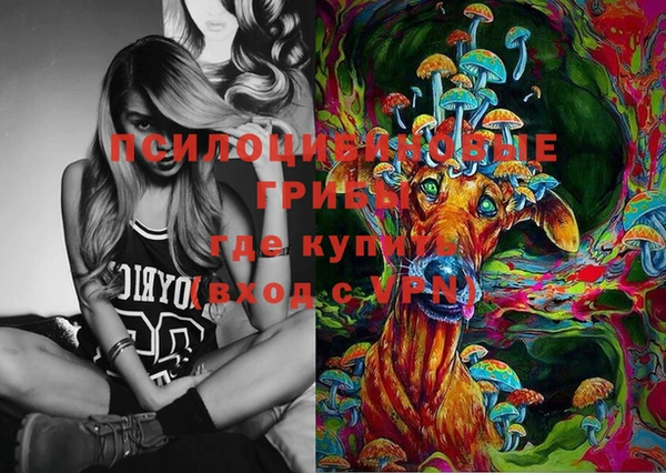 mdpv Белокуриха