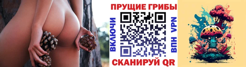 Псилоцибиновые грибы ЛСД  купить  цена  Бузулук 